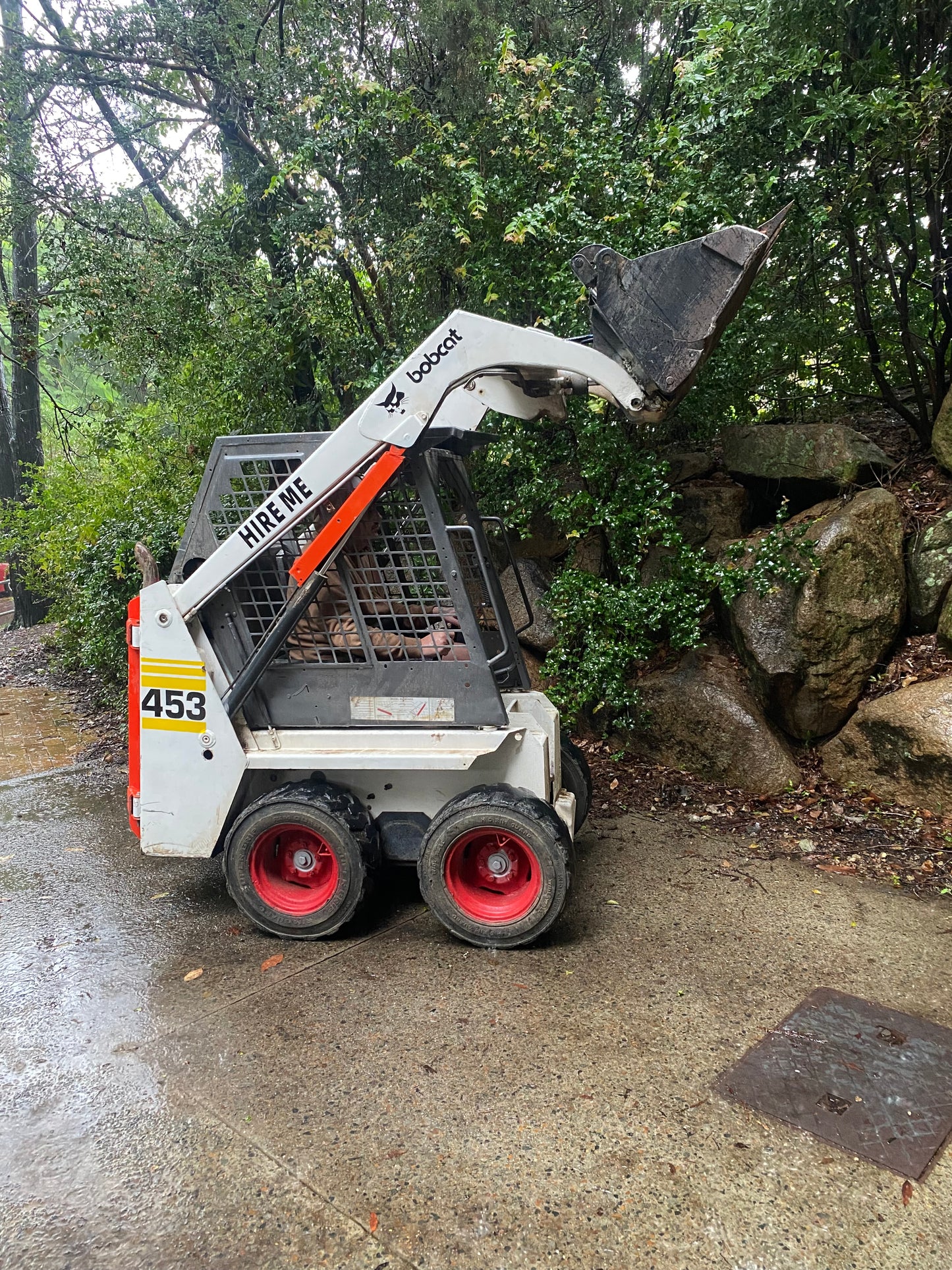 Bobcat Skid Steer